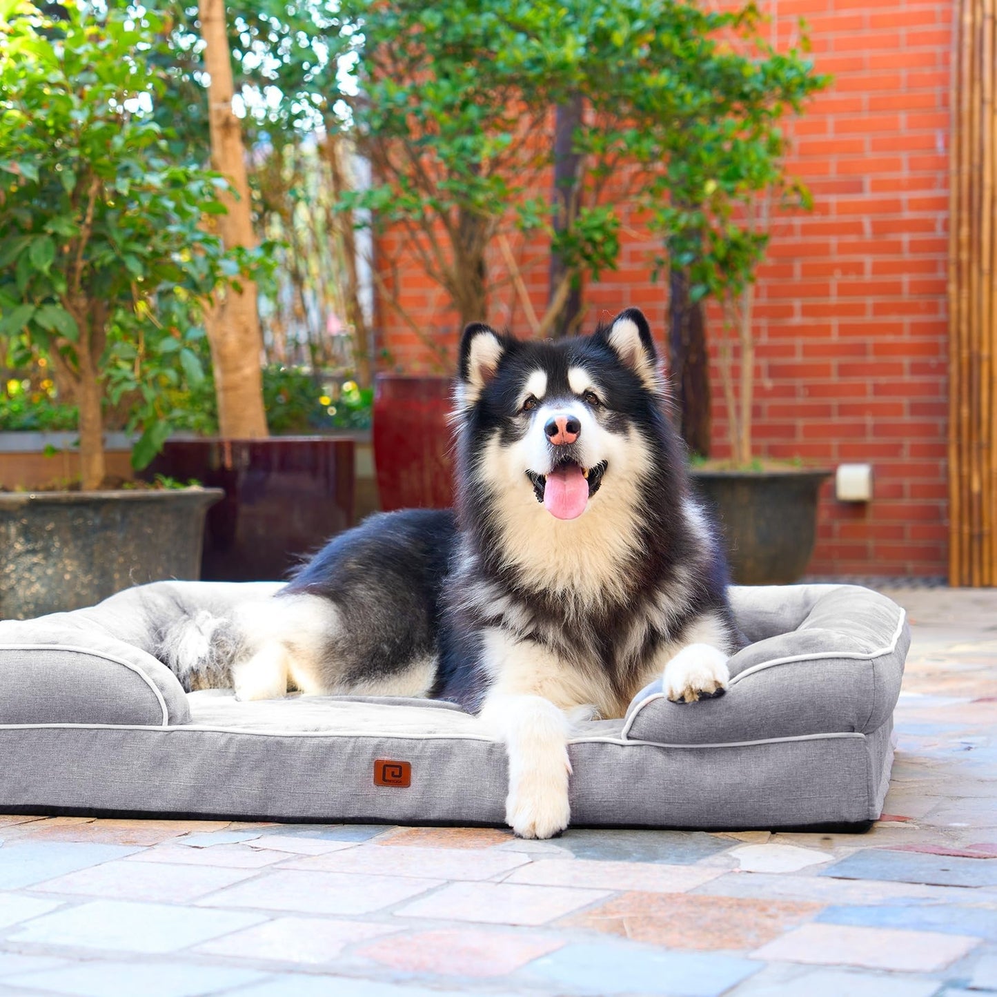 EHEYCIGA Orthopedic Dog Beds Large Sized Dog, Waterproof Memory Foam Pet Bed ...