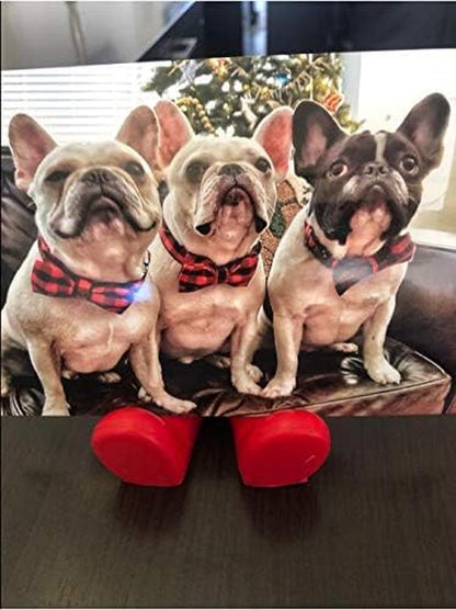 Cotton Dog Collar with Bow Puppy Collar with Black Red Plaid for Small Medium Large Boys Girls Dogs