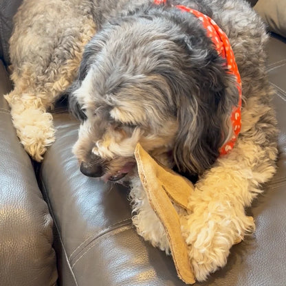 Dura-Fused Leather Fox Dog Toy, Squeaky Interactive Chew Toy for Moderate Chewers, Soft, Stuffed, Double-Stitched & Durable Fetch Toy for Small & Medium Dogs, 7.5In