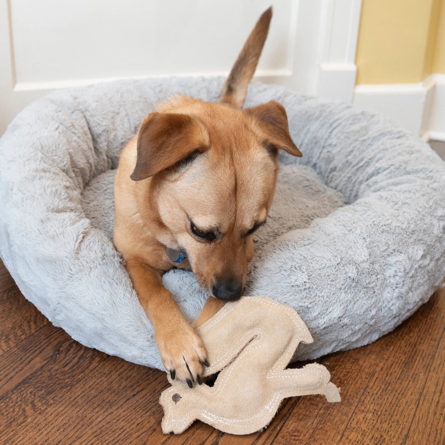 Dura-Fused Leather Fox Dog Toy, Squeaky Interactive Chew Toy for Moderate Chewers, Soft, Stuffed, Double-Stitched & Durable Fetch Toy for Small & Medium Dogs, 7.5In