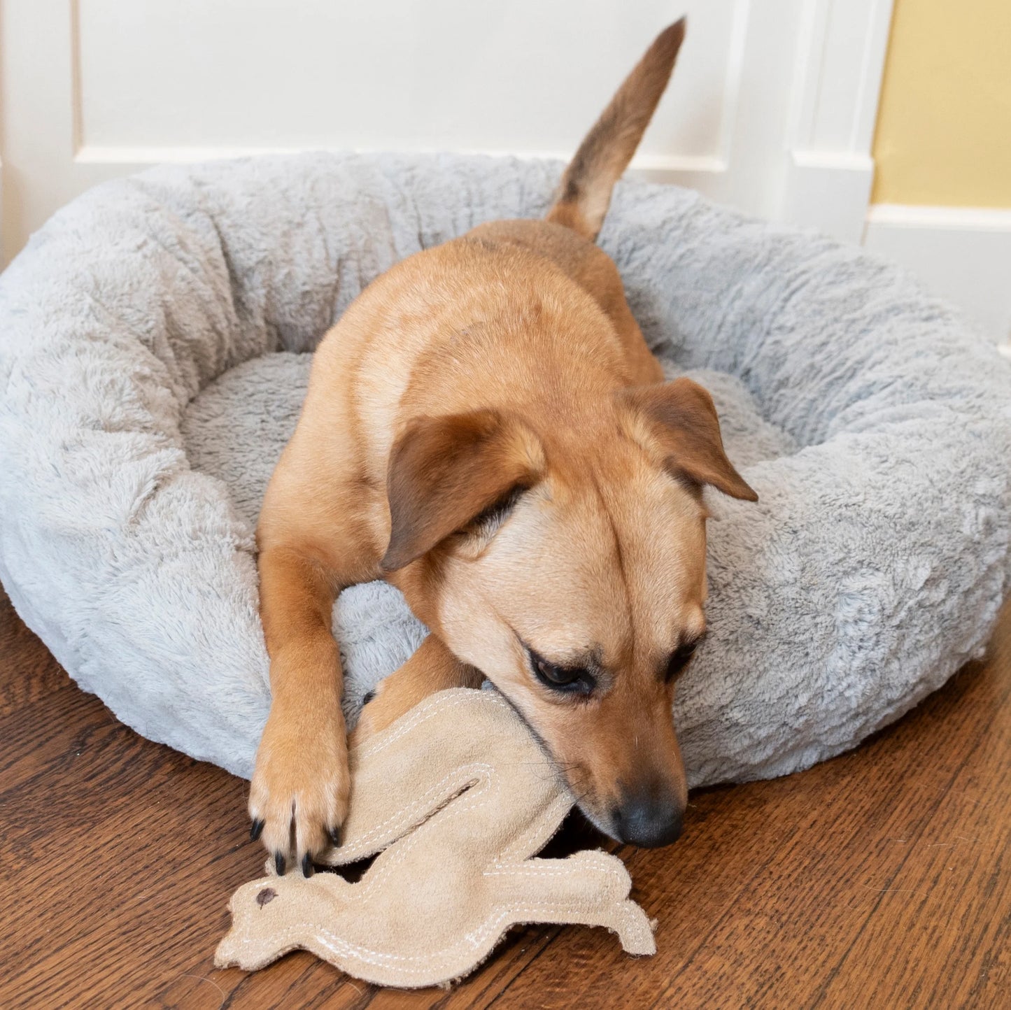 Dura-Fused Leather Fox Dog Toy, Squeaky Interactive Chew Toy for Moderate Chewers, Soft, Stuffed, Double-Stitched & Durable Fetch Toy for Small & Medium Dogs, 7.5In