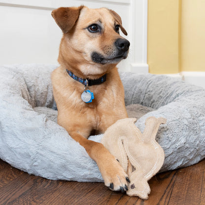 Dura-Fused Leather Fox Dog Toy, Squeaky Interactive Chew Toy for Moderate Chewers, Soft, Stuffed, Double-Stitched & Durable Fetch Toy for Small & Medium Dogs, 7.5In