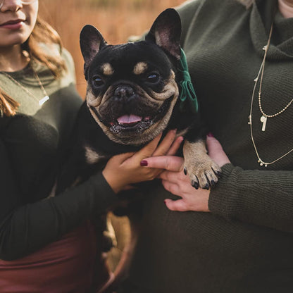 Christmas Dog Collars with Bowtie, Cute Xmas Green Velvet Pet Bow Tie Collar with Metal Buckle for Puppy Small Medium Large Boy Girl Dogs-S