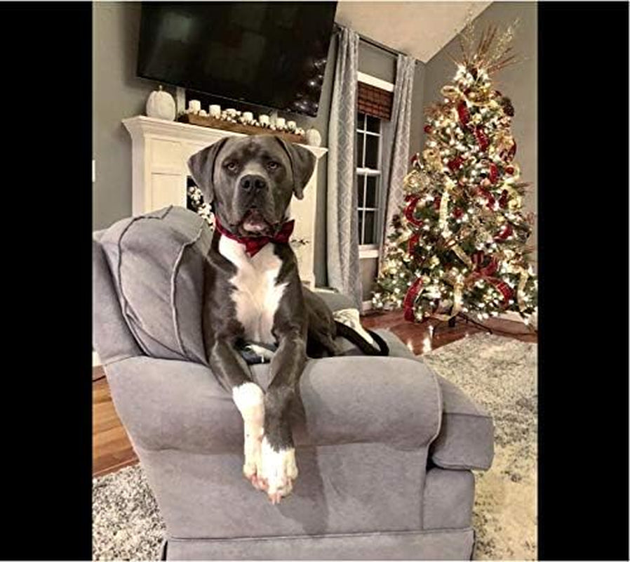 Cotton Dog Collar with Bow Puppy Collar with Black Red Plaid for Small Medium Large Boys Girls Dogs