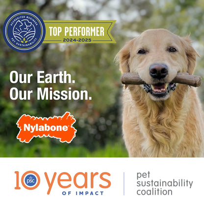 Flexi Chew Gumabone Original Bone Chew Toy Chicken Large (1 Count)