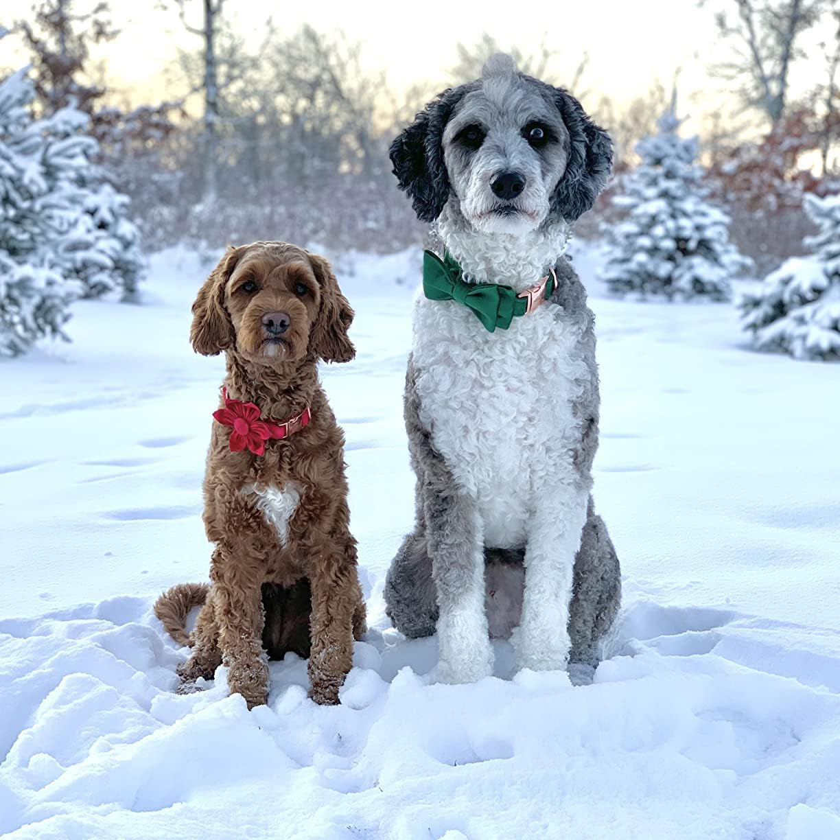 Christmas Dog Collars with Bowtie, Cute Xmas Green Velvet Pet Bow Tie Collar with Metal Buckle for Puppy Small Medium Large Boy Girl Dogs-S