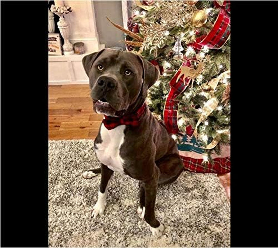Cotton Dog Collar with Bow Puppy Collar with Black Red Plaid for Small Medium Large Boys Girls Dogs