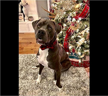 Cotton Dog Collar with Bow Puppy Collar with Black Red Plaid for Small Medium Large Boys Girls Dogs